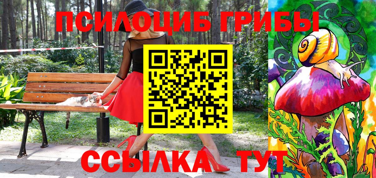 Псилоцибиновые грибы MAGIC MUSHROOMS Нальчик