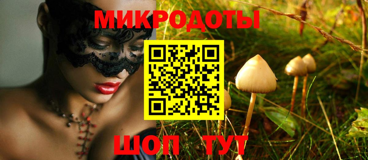 Нальчик  Галлюциногенные грибы Psilocybe  Вход с VPN 